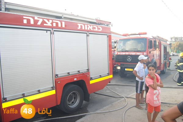 fire truck 804 (10).JPG